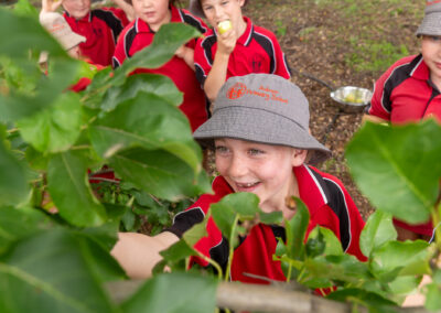 Auburn Primary School Photos Standard Res